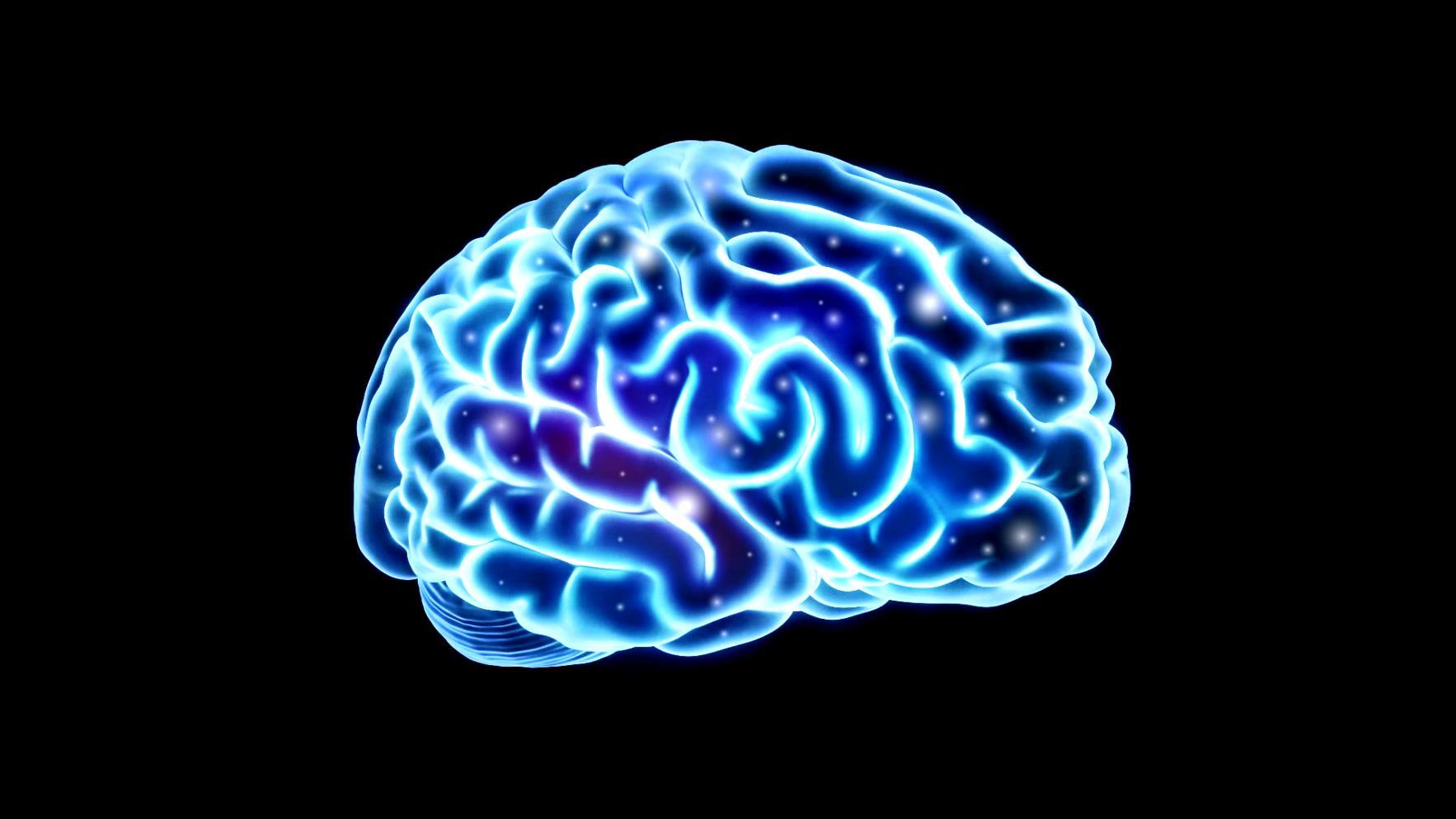 Moderne Lernumgebung für digitale Kreativkurse